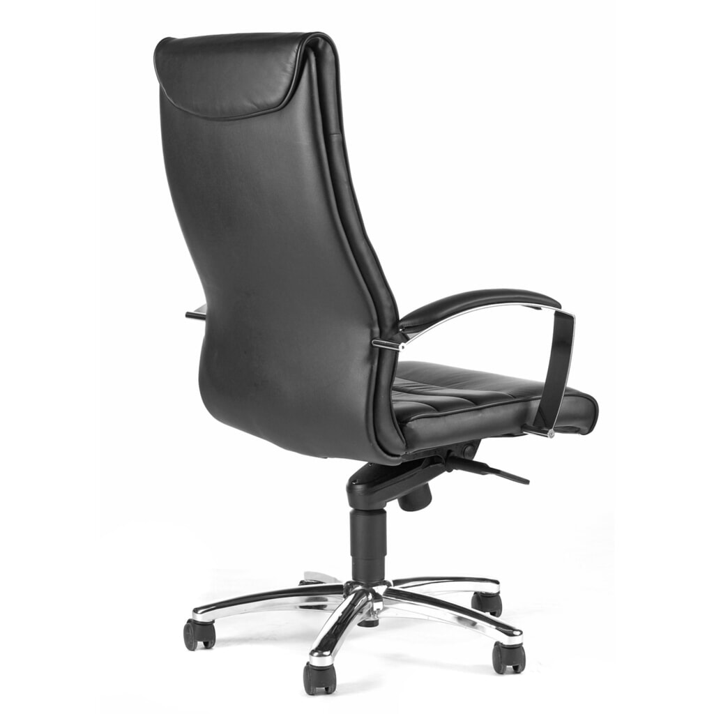 Biurowe krzesło obrotowe Topstar® TD LUX 10, mechanizm przechylania do fotela szefa, z podłokietnikami, kolor czarny Zdjęcie produktu nr 2: Biurowe krzesło obrotowe Topstar® TD LUX 10, mechanizm przechylania do fotela szefa, z podłokietnikami, kolor czarny
