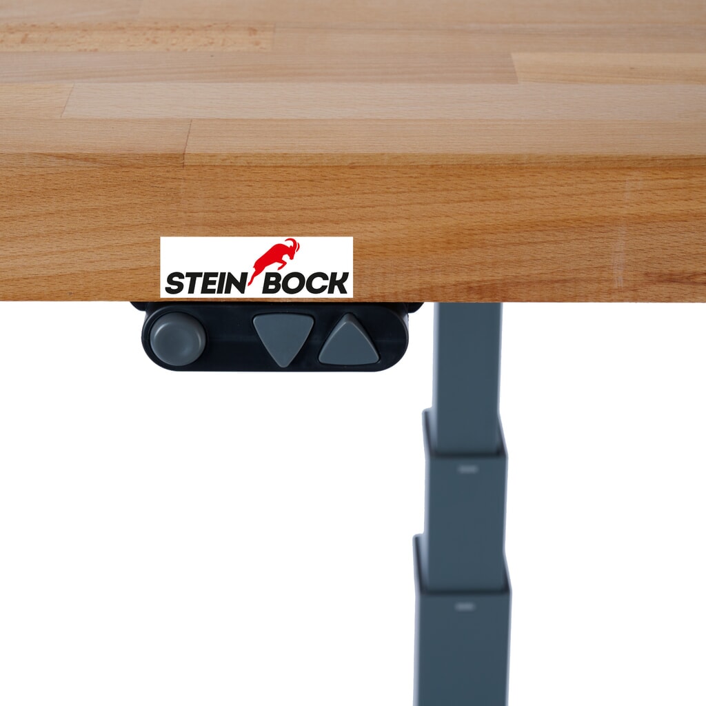 Ława warsztatowa Steinbock® e-Adjust z funkcją elektrycznej regulacji wysokości, wys. x szer. x gł. 700–1170 x 2000 x 750 mm, udźwig 350 kg Zdjęcie produktu nr 3: Ława warsztatowa Steinbock® e-Adjust z funkcją elektrycznej regulacji wysokości, wys. x szer. x gł. 700–1170 x 2000 x 750 mm, udźwig 350 kg