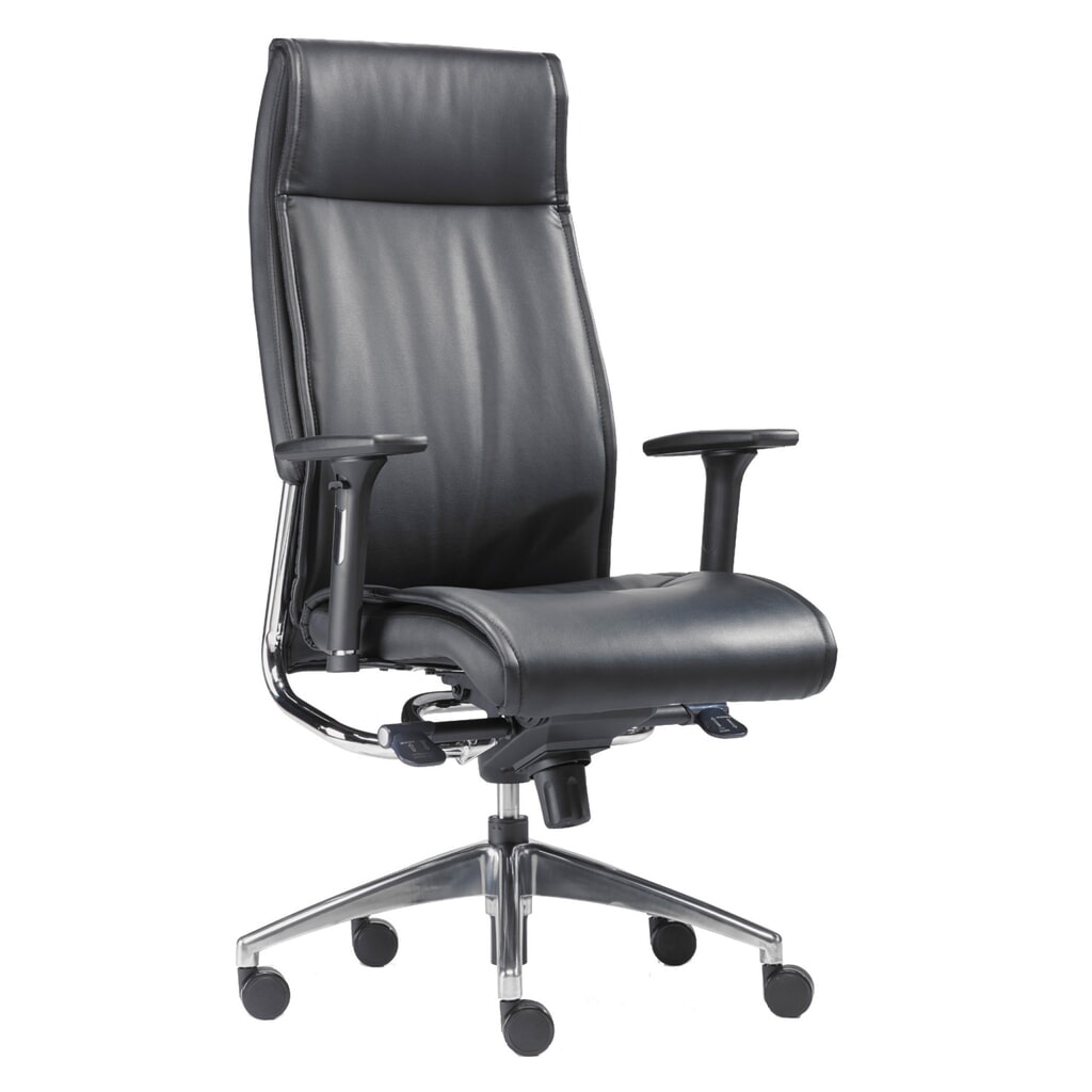 Designerskie, wytrzymałe krzesło biurowe SITWELL STEIFENSAND Big Boss, skórzane siedzisko z chromowanymi elementami Zdjęcie produktu nr 1: Designerskie, wytrzymałe krzesło biurowe SITWELL STEIFENSAND Big Boss, skórzane siedzisko z chromowanymi elementami