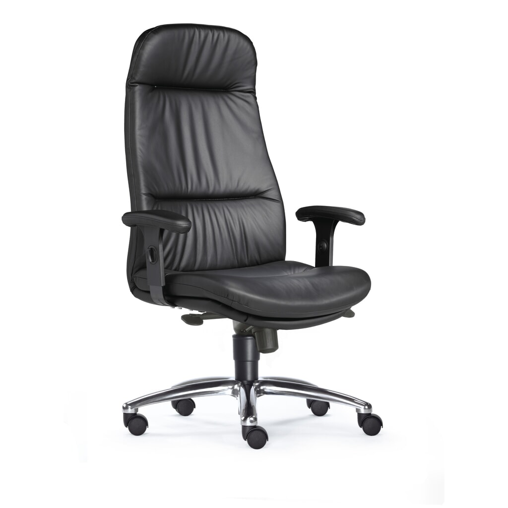 SITWELL STEIFENSAND Krzesło biurowe, wytrzymałość na obciążenia, model Top, bardzo wysokie oparcie, podstawa krzyżakowa z aluminium w wysokim połysku, siedzisko skórzane Zdjęcie produktu nr 2: SITWELL STEIFENSAND Krzesło biurowe, wytrzymałość na obciążenia, model Top, bardzo wysokie oparcie, podstawa krzyżakowa z aluminium w wysokim połysku, siedzisko skórzane