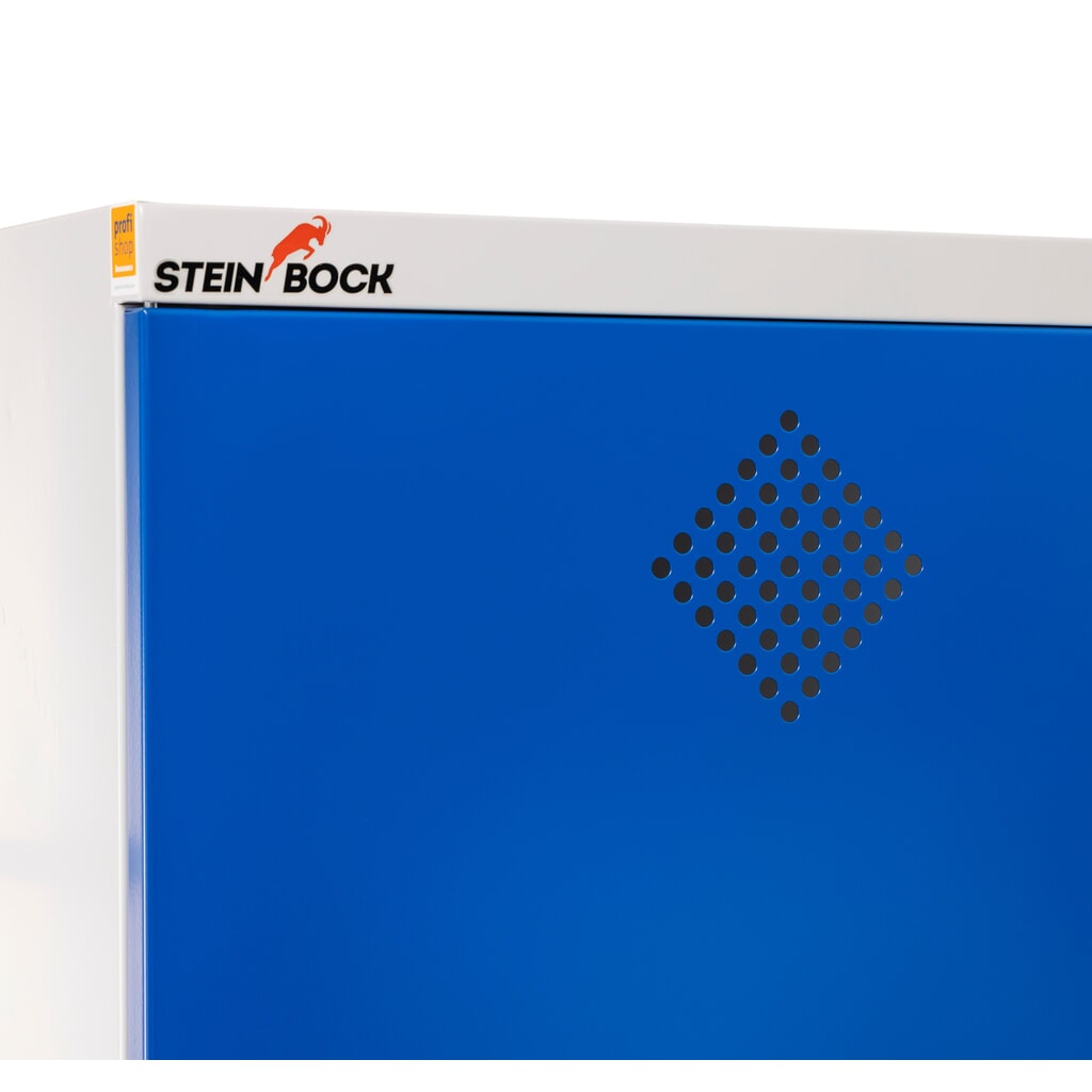 Szafa chemiczna Steinbock®, 4 wanny do wychwytywania podłogowego zgodne z normą StawaR, wys. x szer. x gł. 1950 x 950 x 500 mm Zdjęcie produktu nr 4: Szafa chemiczna Steinbock®, 4 wanny do wychwytywania podłogowego zgodne z normą StawaR, wys. x szer. x gł. 1950 x 950 x 500 mm